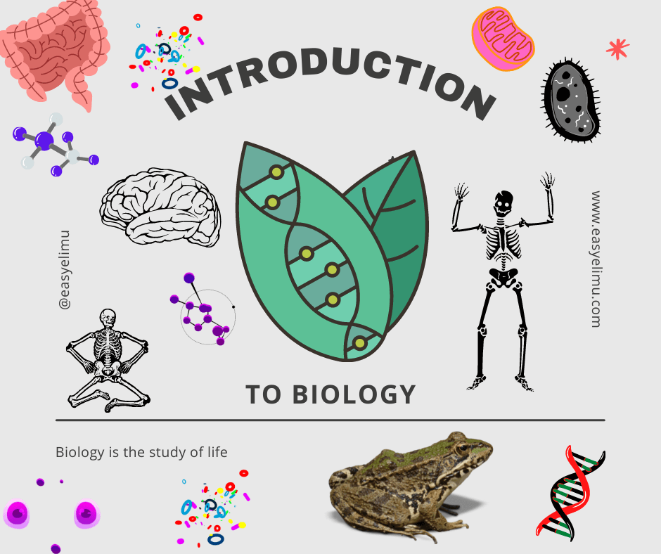 To biology