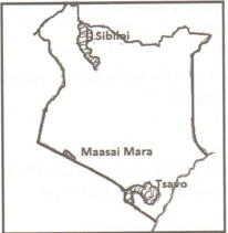 tsavo and masaai mara jgzayfa