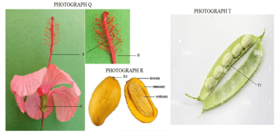 F4BioMarMP32023Q2