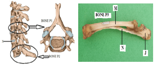 F4BioMarMP32023Q3