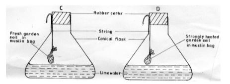 Form3AgricultureT3OP12023Q2