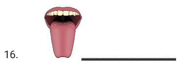 mouth set1