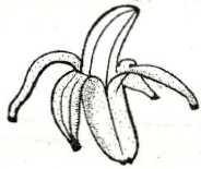 banana set1