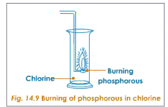 burning of phosphorus in chlorine
