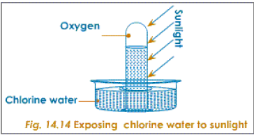 exposing chlorine water to sunlight