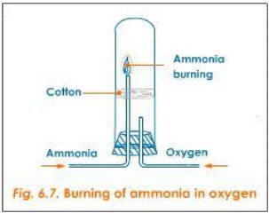 burning of ammonia i KOgsm