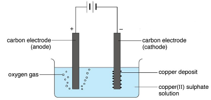 electrolysis of copper II sulphate using carbon electrodes