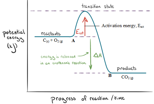 exothermic reaction activation energy