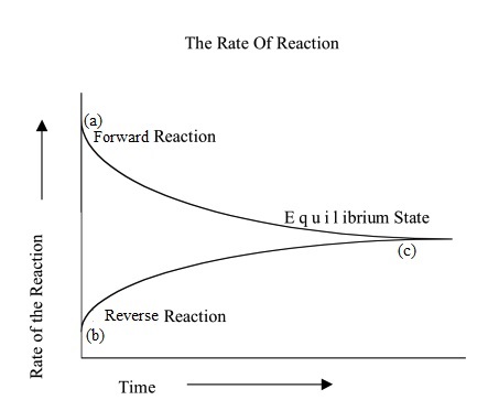 reversible reaction curves