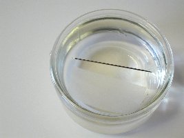 needle floating on water surface tension