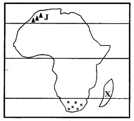 map_of_africa_set_1.jpg