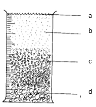soil sample in measuring cylinder