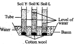 science_set_3q18.jpg