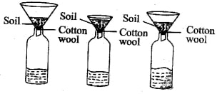 science_set_3q20.jpg