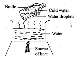 science_set_3q31.jpg