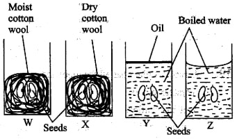 science_set_3q43.jpg