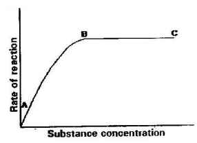 rate of enzyme reaction graph